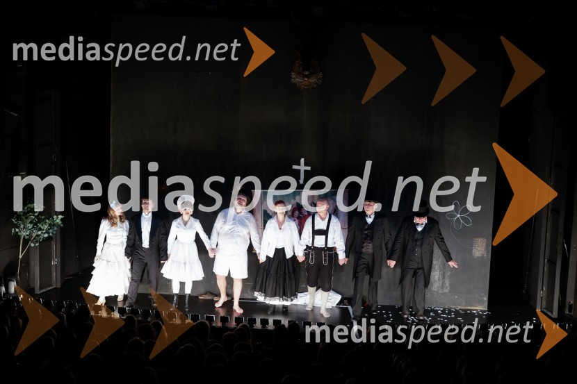 Ta veseli dan ali Matiček se ženi, premiera v MGL