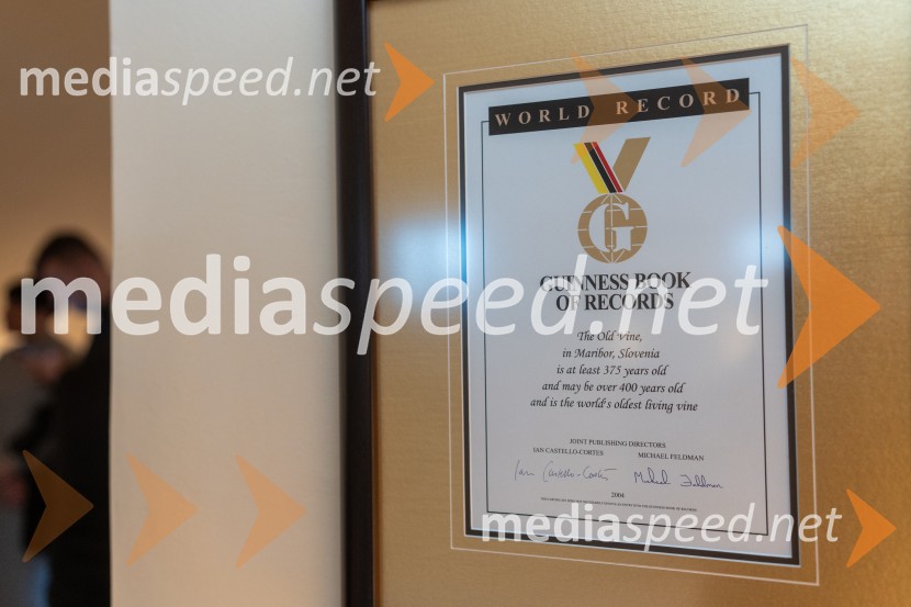 Novinarska konferenca s predstavitvijo prenovljene Hiše Najstarejše trte