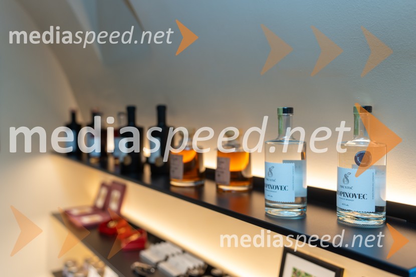 Novinarska konferenca s predstavitvijo prenovljene Hiše Najstarejše trte