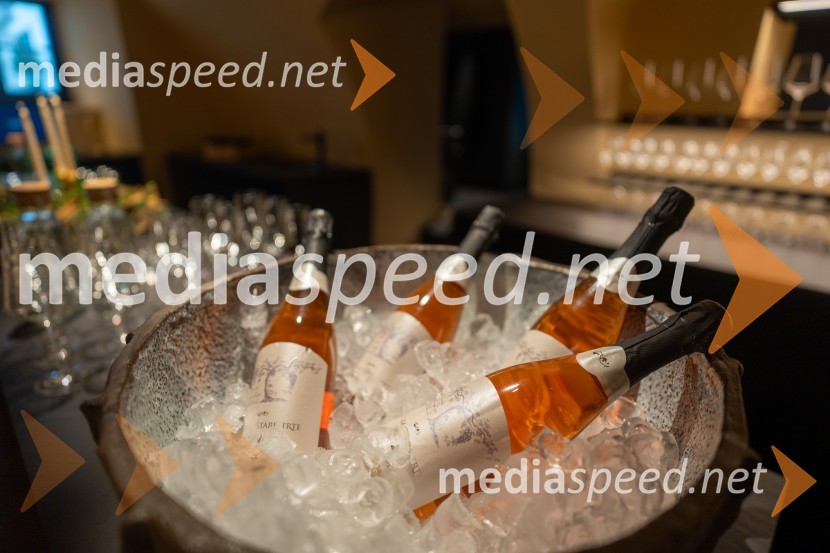 Novinarska konferenca s predstavitvijo prenovljene Hiše Najstarejše trte