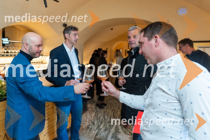  Matevž Frangež, državni sekretar;  Stojan Skalicky, Arhisol, d.o.o.;  Aleksander Saša Arsenovič, župan, Mestna občina Maribor;  Boris Hriberšek, IGMNovinarska konferenca s predstavitvijo prenovljene Hiše Najstarejše trte