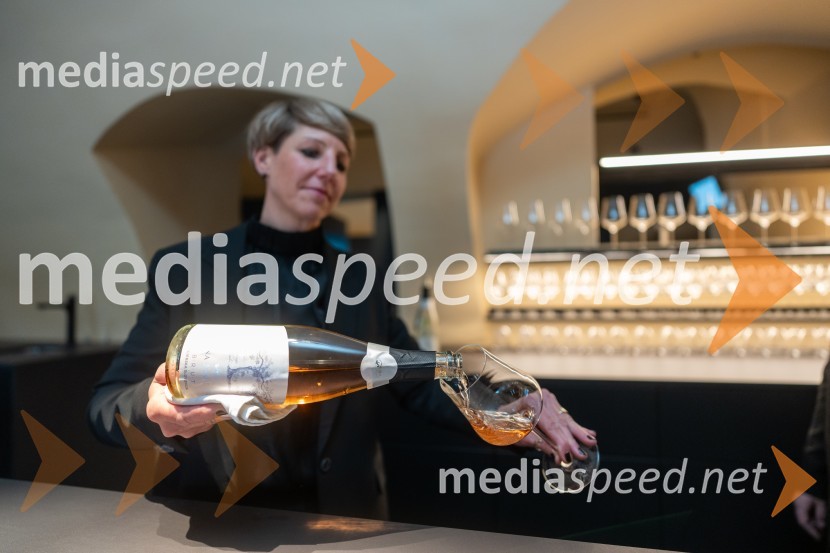  Tina Heinrih, Hiša stare trteNovinarska konferenca s predstavitvijo prenovljene Hiše Najstarejše trte