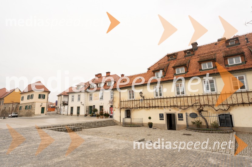 Novinarska konferenca s predstavitvijo prenovljene Hiše Najstarejše trte