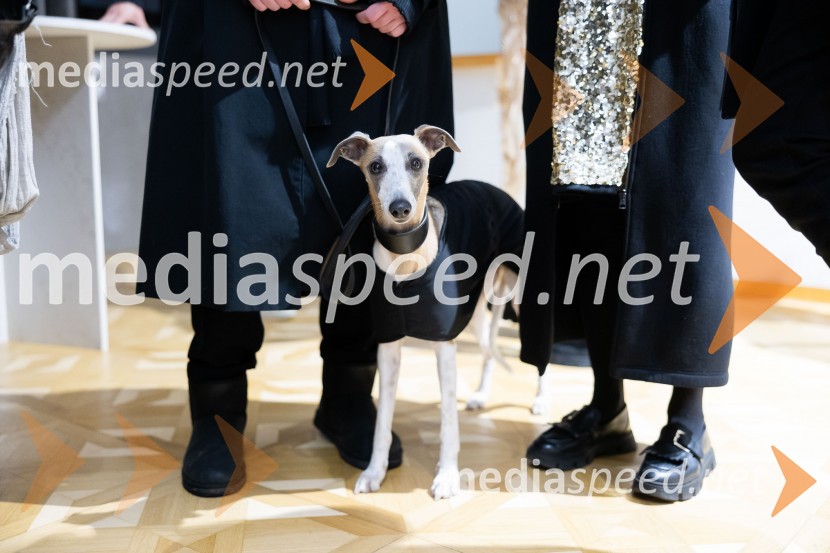 Asko odprl svoj prvi showroom v Sloveniji z modnim oblikovalcem Maticem Velerjem