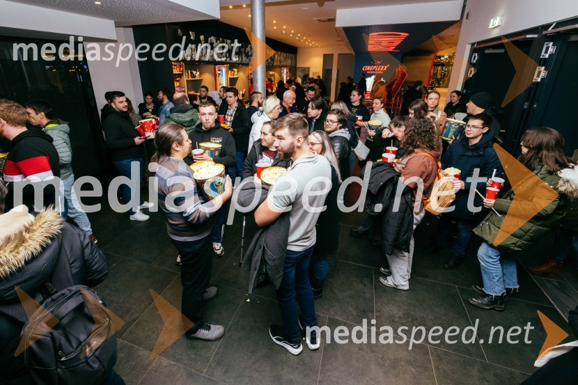 Gospodar prstanov: vojna Rohirrimov, premiera v Cineplexx Ljubljana