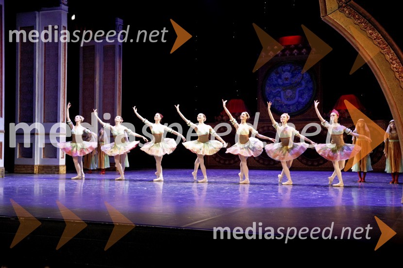 Hrestač, jubilejna stota izvedba, SNG Maribor