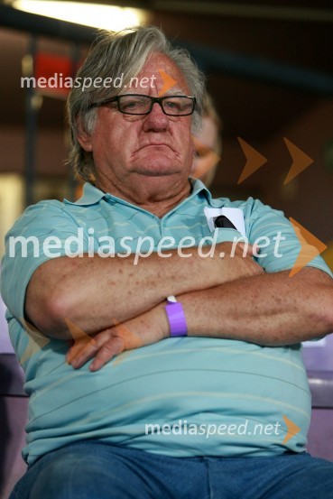 Tone Partljič, pisateljPovratna tekma 2. kroga kvalifikacij za Ligo prvakov, NK Maribor - FC Wit Georgia