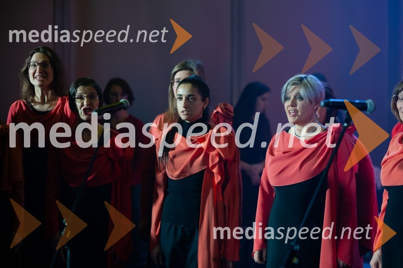 Parašportnik leta 2024