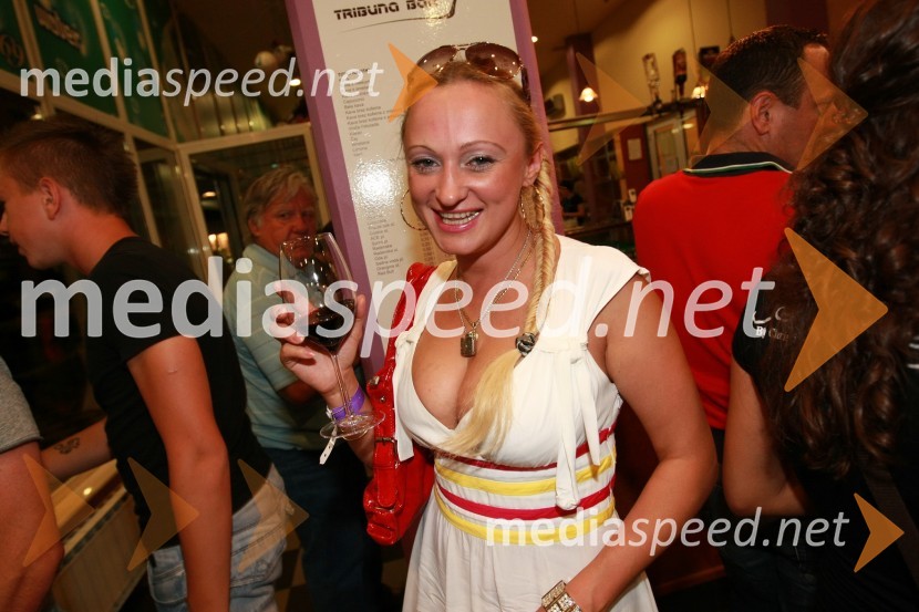 Povratna tekma 2. kroga kvalifikacij za Ligo prvakov, NK Maribor - FC Wit Georgia