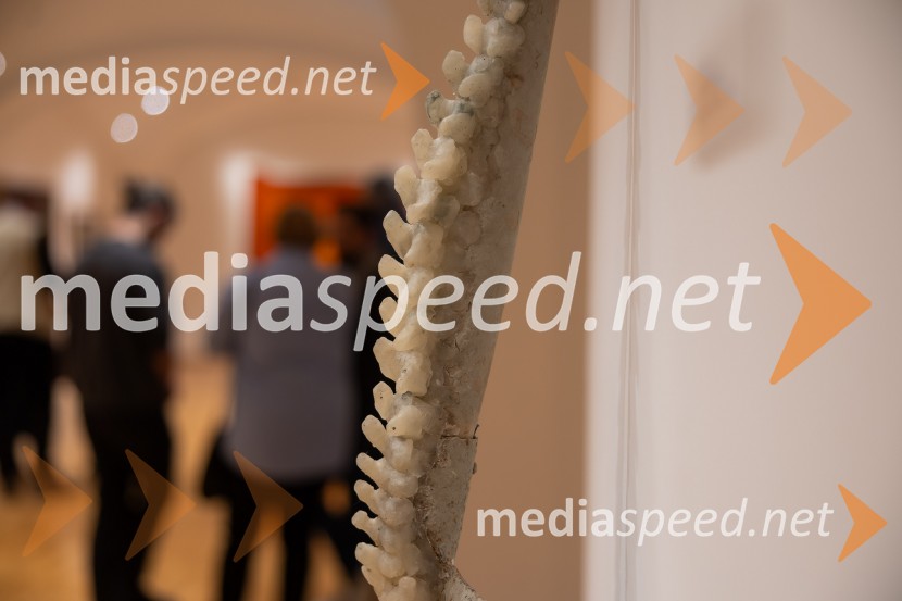 Stanje stvari / State of Affairs, odprtje razstave v Galeriji Miklova hiša