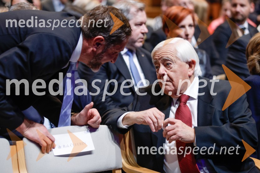 Državna proslava ob dnevu samostojnosti in enotnosti 2024