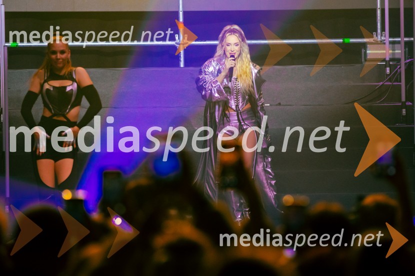  Ines Erbus, pevkaInes Erbus, veliki koncert z gosti ob 10. obletnici