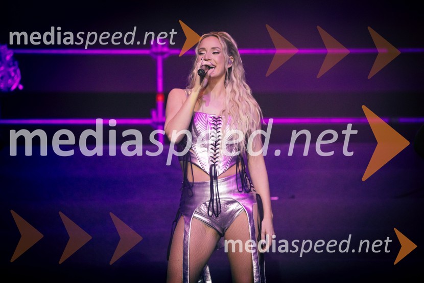  Ines Erbus, pevkaInes Erbus, veliki koncert z gosti ob 10. obletnici