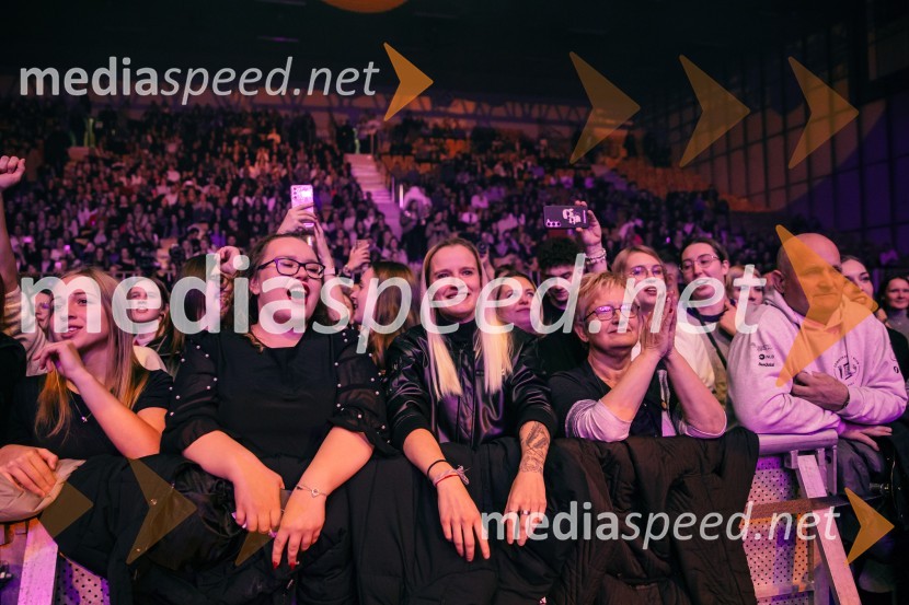 Ines Erbus, veliki koncert z gosti ob 10. obletnici