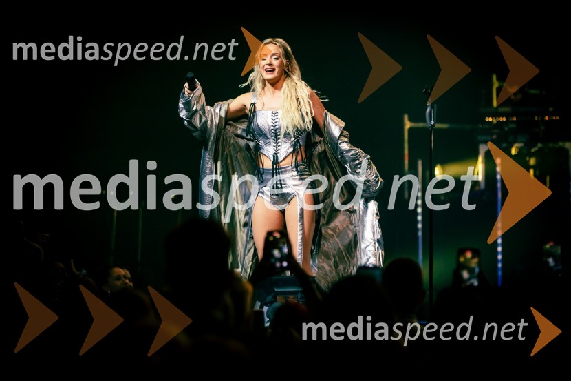  Ines Erbus, pevkaInes Erbus, veliki koncert z gosti ob 10. obletnici