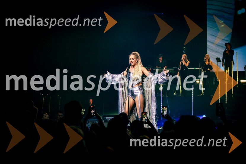  Ines Erbus, pevkaInes Erbus, veliki koncert z gosti ob 10. obletnici