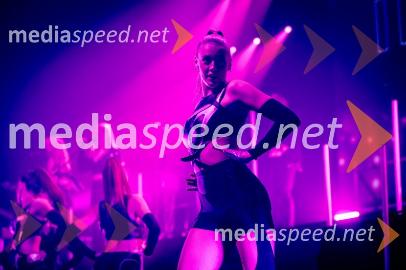 Ines Erbus, veliki koncert z gosti ob 10. obletnici