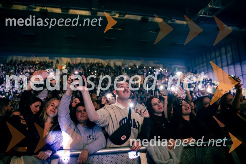 Ines Erbus, veliki koncert z gosti ob 10. obletnici