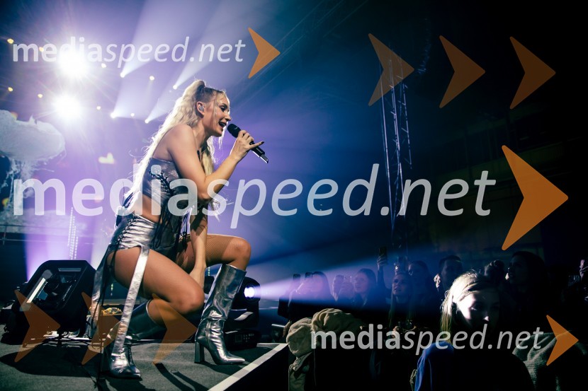  Ines Erbus, pevkaInes Erbus, veliki koncert z gosti ob 10. obletnici