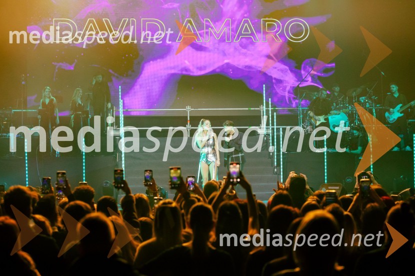  Ines Erbus, pevka;  David Amaro, pevecInes Erbus, veliki koncert z gosti ob 10. obletnici