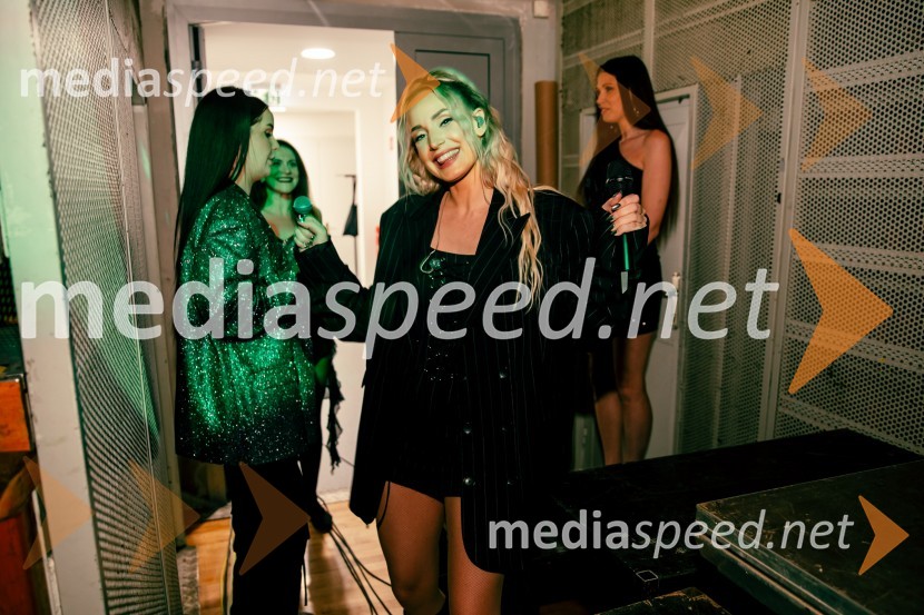  Ines Erbus, pevkaInes Erbus, veliki koncert z gosti ob 10. obletnici