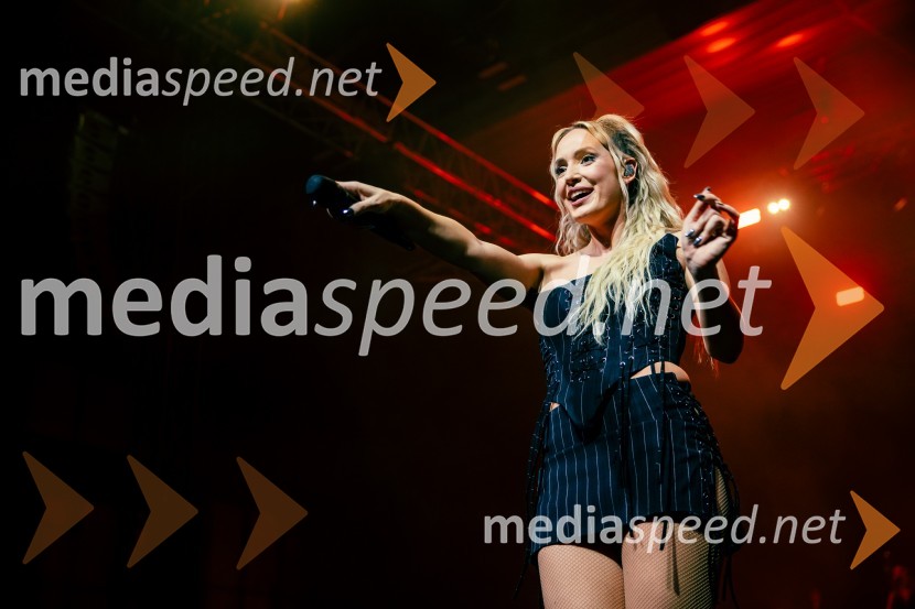  Ines Erbus, pevkaInes Erbus, veliki koncert z gosti ob 10. obletnici