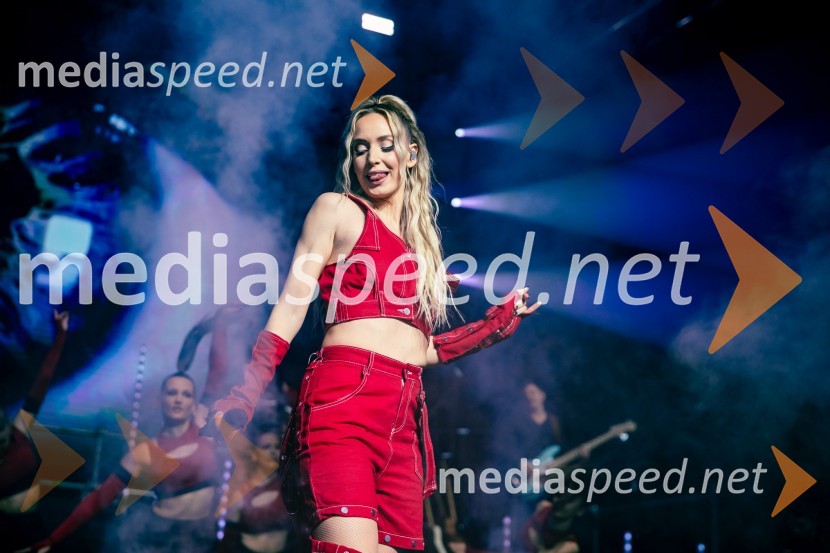  Ines Erbus, pevkaInes Erbus, veliki koncert z gosti ob 10. obletnici