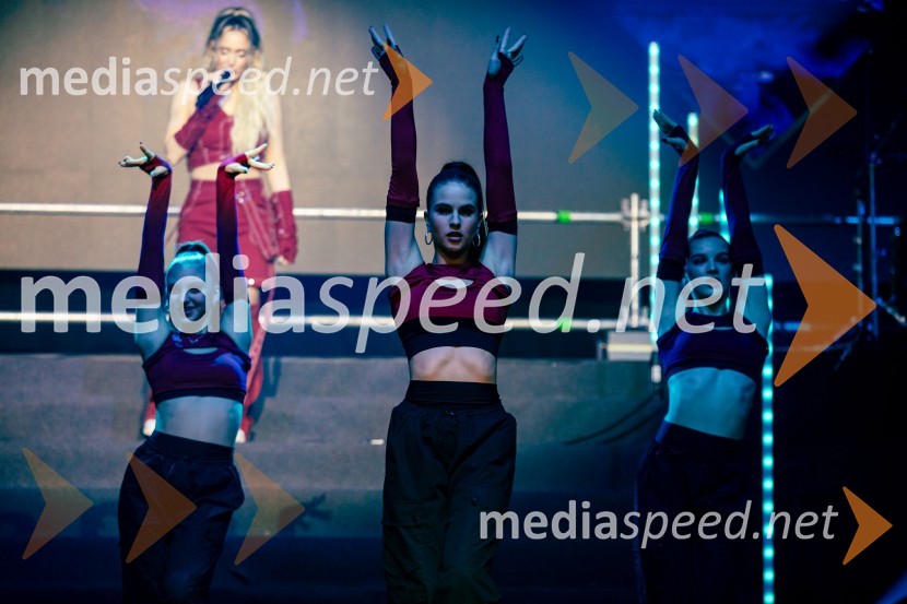 Ines Erbus, veliki koncert z gosti ob 10. obletnici