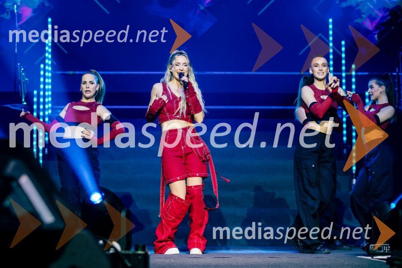  Ines Erbus, pevkaInes Erbus, veliki koncert z gosti ob 10. obletnici