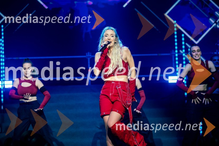  Ines Erbus, pevkaInes Erbus, veliki koncert z gosti ob 10. obletnici