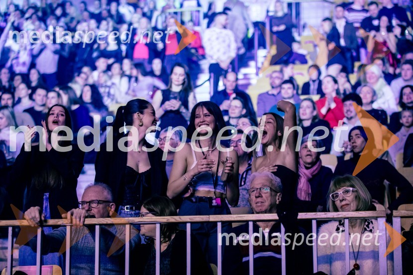 Ines Erbus, veliki koncert z gosti ob 10. obletnici