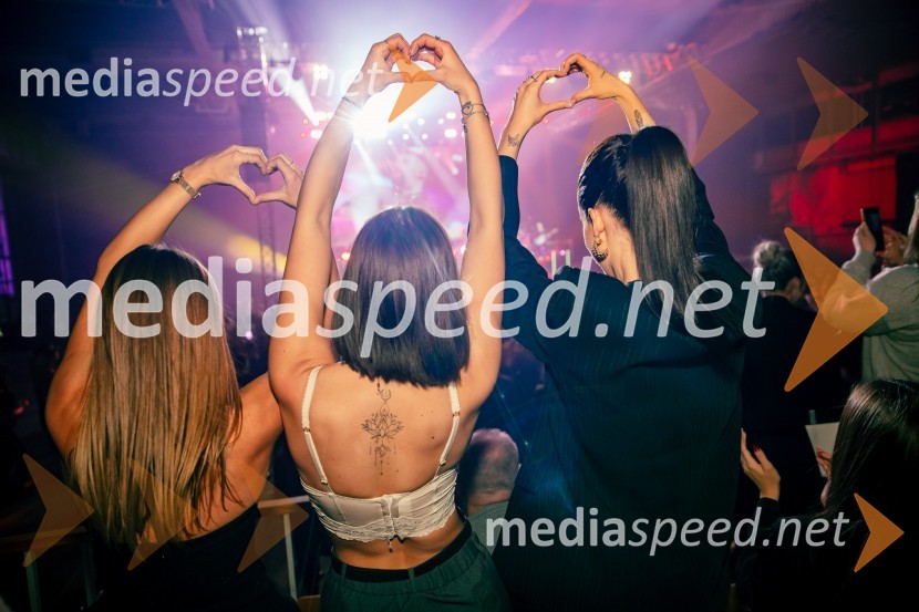 Ines Erbus, veliki koncert z gosti ob 10. obletnici