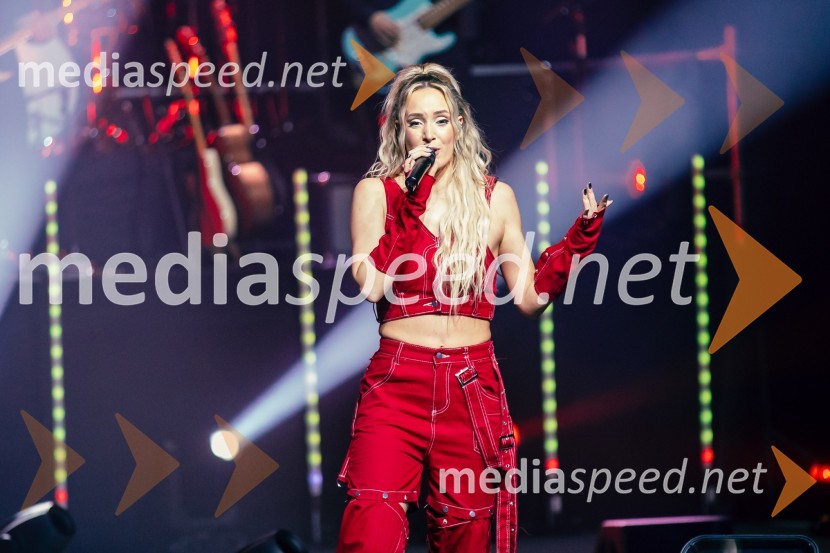  Ines Erbus, pevkaInes Erbus, veliki koncert z gosti ob 10. obletnici