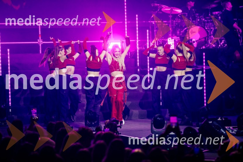  Ines Erbus, pevkaInes Erbus, veliki koncert z gosti ob 10. obletnici