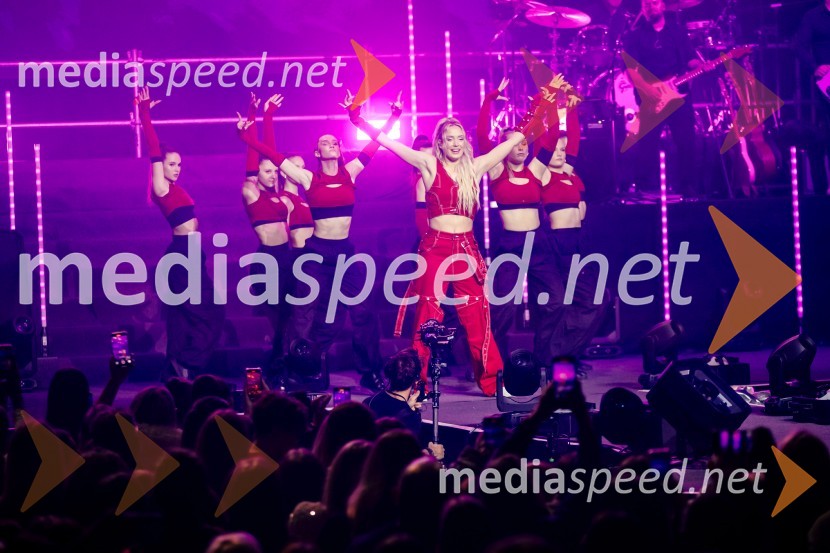  Ines Erbus, pevkaInes Erbus, veliki koncert z gosti ob 10. obletnici