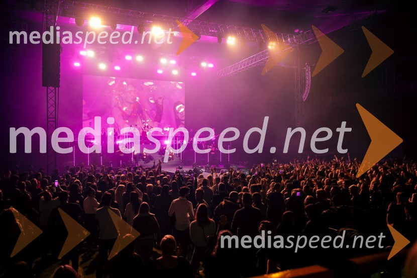 Ines Erbus, veliki koncert z gosti ob 10. obletnici