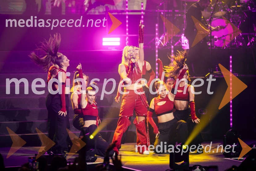  Ines Erbus, pevkaInes Erbus, veliki koncert z gosti ob 10. obletnici