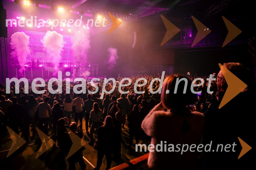 Ines Erbus, veliki koncert z gosti ob 10. obletnici