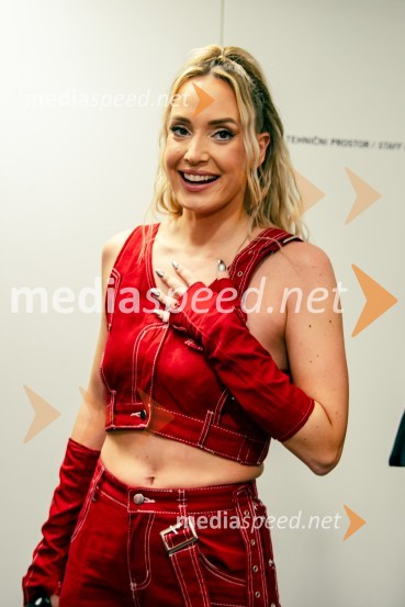  Ines Erbus, pevkaInes Erbus, veliki koncert z gosti ob 10. obletnici