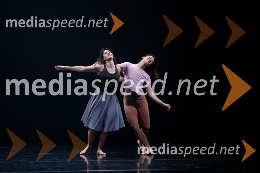 Prednovoletni Gran Bolero Gala v Cankarjevem domu