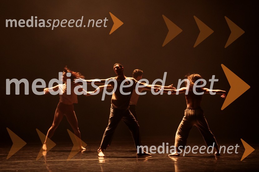 Prednovoletni Gran Bolero Gala v Cankarjevem domu