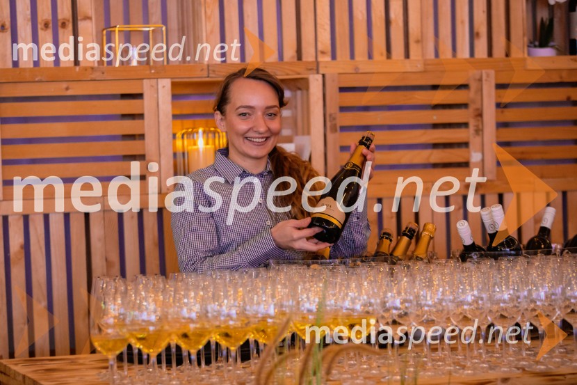 Svetovni pokal v alpskem smučanju za ženske Kranjska Gora 2025, VIP druženje sobota