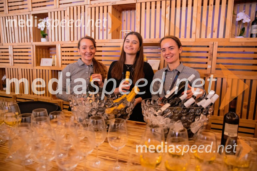 Svetovni pokal v alpskem smučanju za ženske Kranjska Gora 2025, VIP druženje sobota