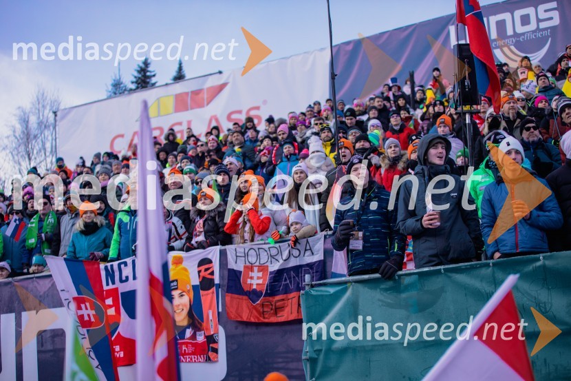 Svetovni pokal v alpskem smučanju za ženske Kranjska Gora 2025, VIP druženje sobota