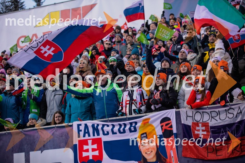 Svetovni pokal v alpskem smučanju za ženske Kranjska Gora 2025, VIP druženje sobota