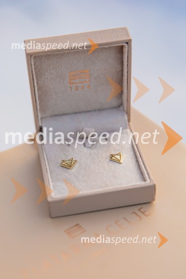 Svetovni pokal v alpskem smučanju za ženske Kranjska Gora 2025, VIP druženje sobota