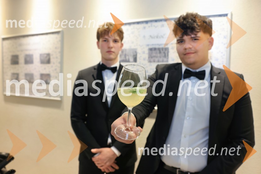 Slavnostno kosilo z grškim chefom Steliosom Fanourakisom na SŠGT Maribor