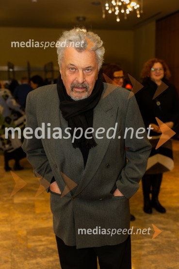  Janez Koželj, arhitektZakaj sva se ločila, premiera na odru MGL