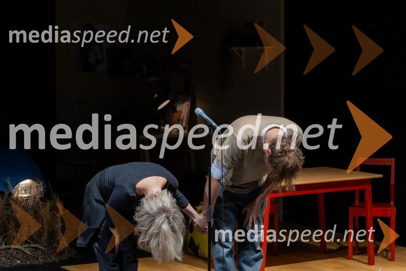 Zakaj sva se ločila, premiera na odru MGL