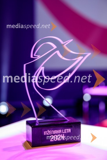 Inženirka leta 2024 je Rebeka Kropivšek Leskovar